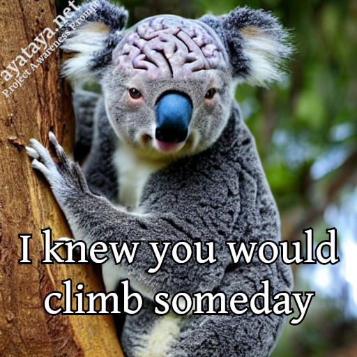 climb_someday.jpg