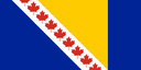 drapeau_bosnadien_1537237079.jpg